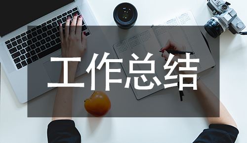 工作总结
