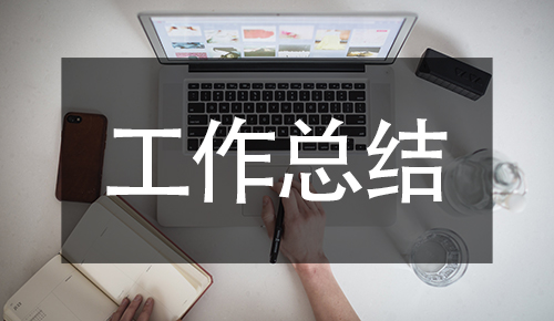 工作总结